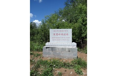 寒葱岭战迹地